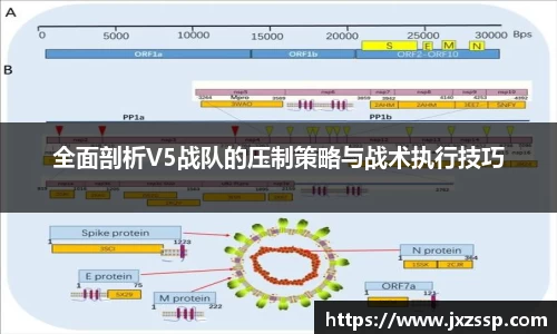 星空体育平台app